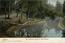 16305 Gezicht op de grote vijver met omringende naaldbomen in het Zeister Bosch te Zeist; met op de voorgrond de ...